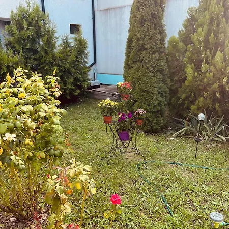 Maria Βουκουρέστι